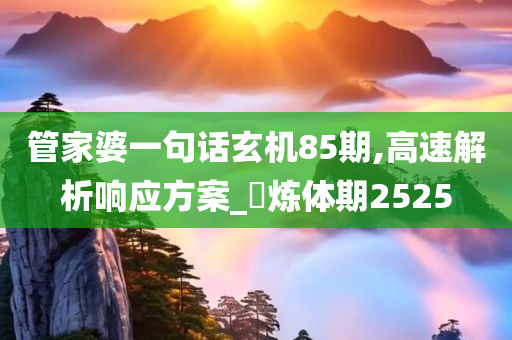 管家婆一句话玄机85期,高速解析响应方案_‌炼体期2525