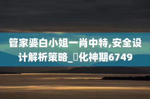 管家婆白小姐一肖中特,安全设计解析策略_‌化神期6749