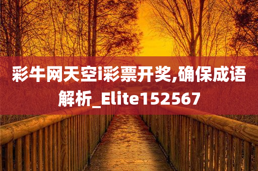 彩牛网天空i彩票开奖,确保成语解析_Elite152567