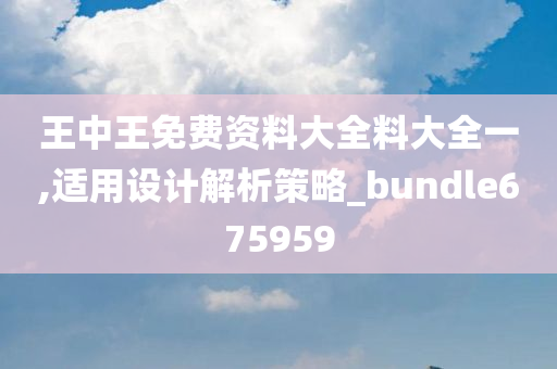 王中王免费资料大全料大全一,适用设计解析策略_bundle675959