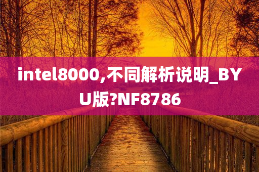 intel8000,不同解析说明_BYU版?NF8786