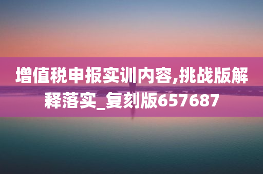 增值税申报实训内容,挑战版解释落实_复刻版657687