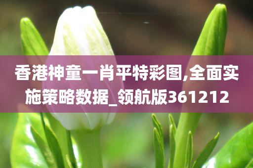 香港神童一肖平特彩图,全面实施策略数据_领航版361212