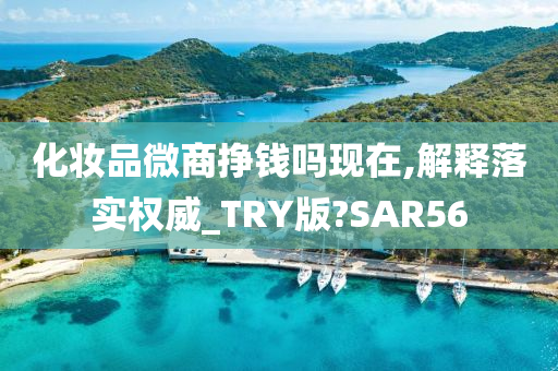 化妆品微商挣钱吗现在,解释落实权威_TRY版?SAR56