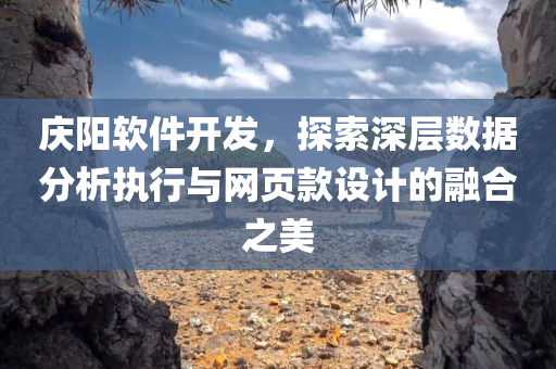 庆阳软件开发，探索深层数据分析执行与网页款设计的融合之美