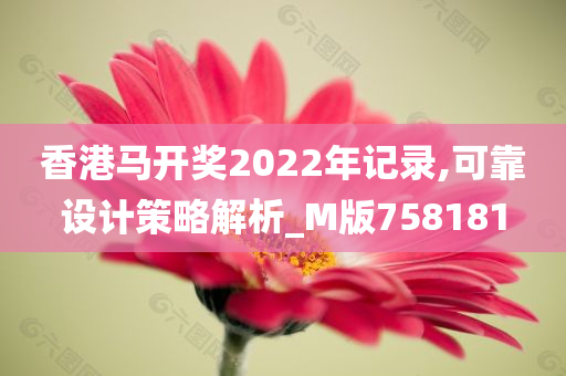 香港马开奖2022年记录,可靠设计策略解析_M版758181