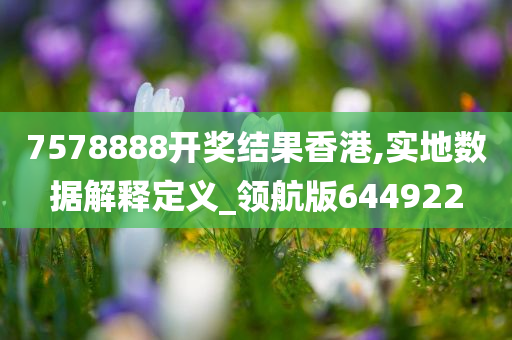 7578888开奖结果香港,实地数据解释定义_领航版644922