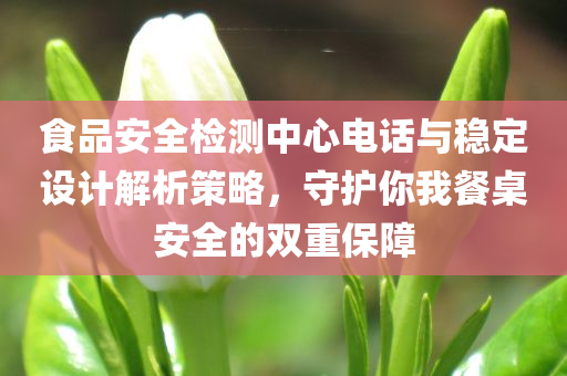 食品安全检测中心电话与稳定设计解析策略，守护你我餐桌安全的双重保障