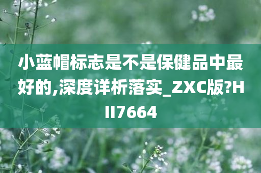 小蓝帽标志是不是保健品中最好的,深度详析落实_ZXC版?HII7664