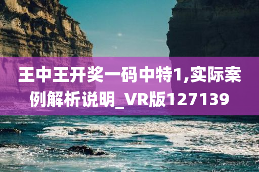 王中王开奖一码中特1,实际案例解析说明_VR版127139