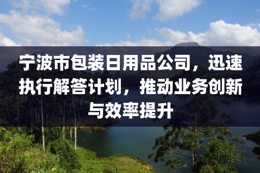 宁波市包装日用品公司，迅速执行解答计划，推动业务创新与效率提升