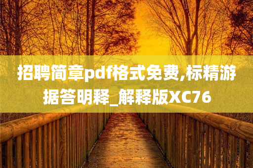 招聘简章pdf格式免费,标精游据答明释_解释版XC76