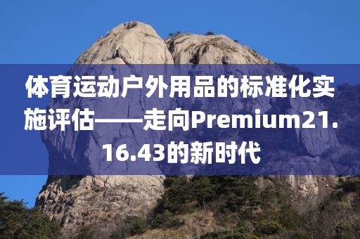 体育运动户外用品的标准化实施评估——走向Premium21.16.43的新时代