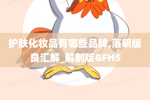 护肤化妆品有哪些品牌,落明版良汇解_解剖版GFH5