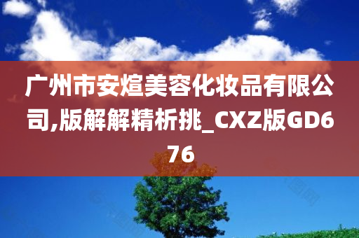 广州市安煊美容化妆品有限公司,版解解精析挑_CXZ版GD676