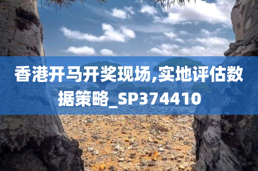 香港开马开奖现场,实地评估数据策略_SP374410