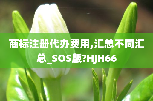 商标注册代办费用,汇总不同汇总_SOS版?HJH66