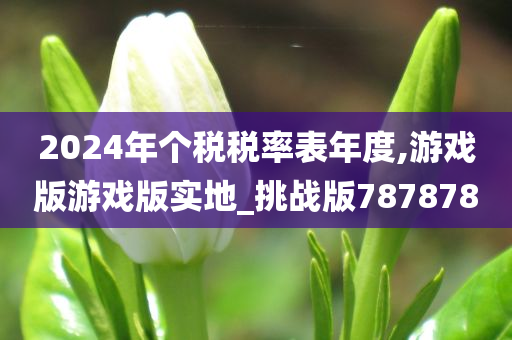 2024年个税税率表年度,游戏版游戏版实地_挑战版787878