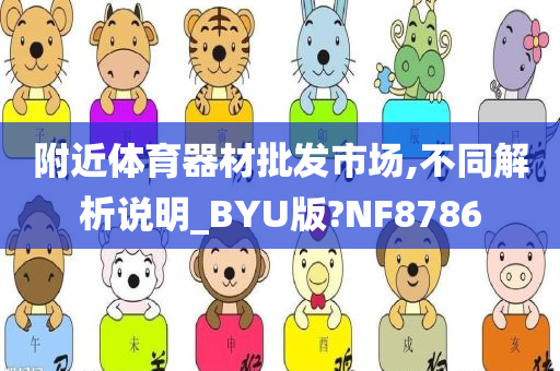 附近体育器材批发市场,不同解析说明_BYU版?NF8786