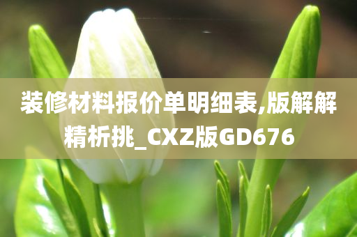 装修材料报价单明细表,版解解精析挑_CXZ版GD676