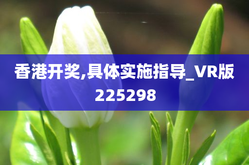 香港开奖,具体实施指导_VR版225298