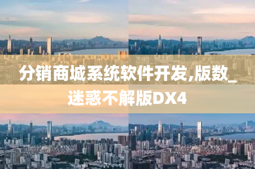 分销商城系统软件开发,版数_迷惑不解版DX4