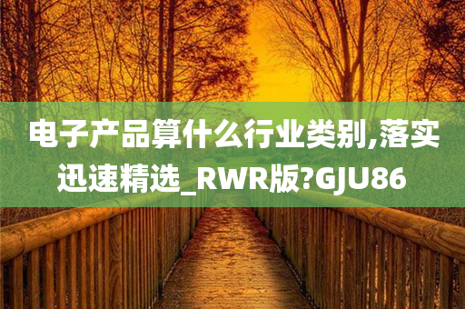 电子产品算什么行业类别,落实迅速精选_RWR版?GJU86