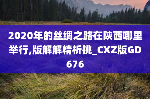 2020年的丝绸之路在陕西哪里举行,版解解精析挑_CXZ版GD676