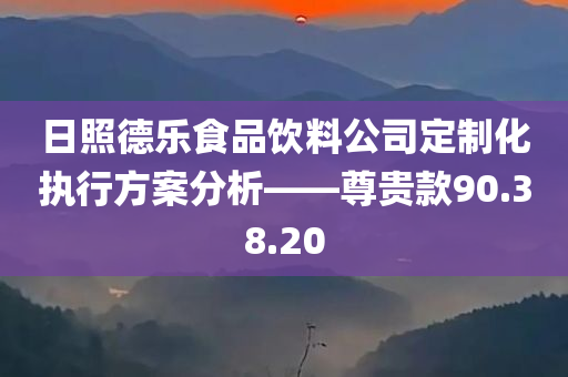 日照德乐食品饮料公司定制化执行方案分析——尊贵款90.38.20