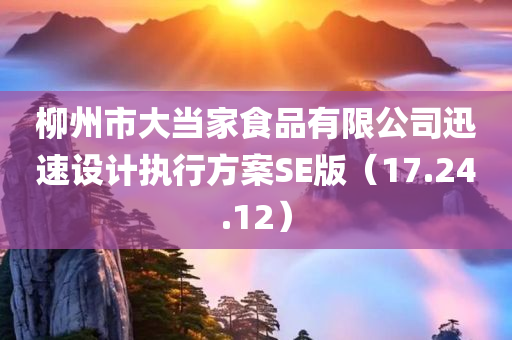 柳州市大当家食品有限公司迅速设计执行方案SE版（17.24.12）