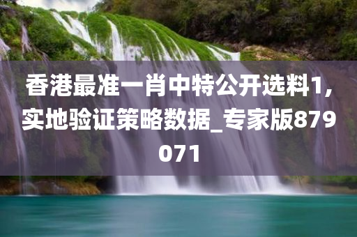 香港最准一肖中特公开选料1,实地验证策略数据_专家版879071