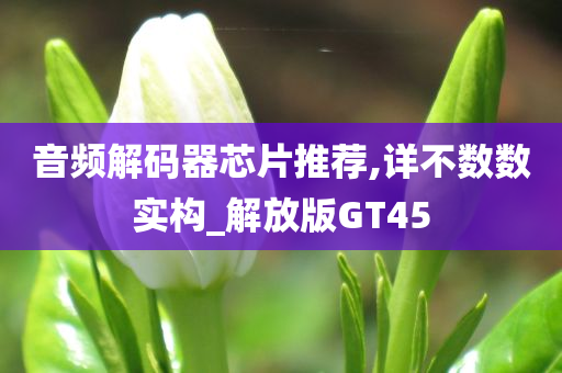 音频解码器芯片推荐,详不数数实构_解放版GT45