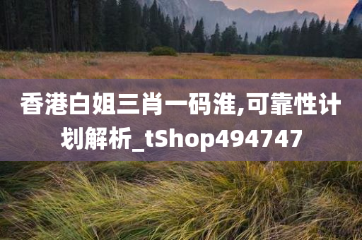 香港白姐三肖一码淮,可靠性计划解析_tShop494747