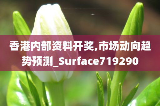 香港内部资料开奖,市场动向趋势预测_Surface719290