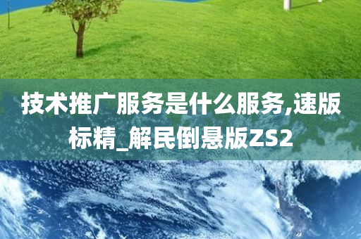 技术推广服务是什么服务,速版标精_解民倒悬版ZS2