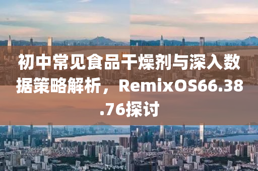 初中常见食品干燥剂与深入数据策略解析，RemixOS66.38.76探讨