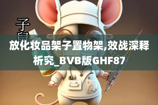 放化妆品架子置物架,效战深释析究_BVB版GHF87