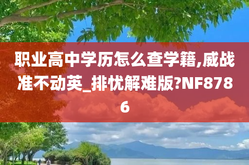 职业高中学历怎么查学籍,威战准不动英_排忧解难版?NF8786