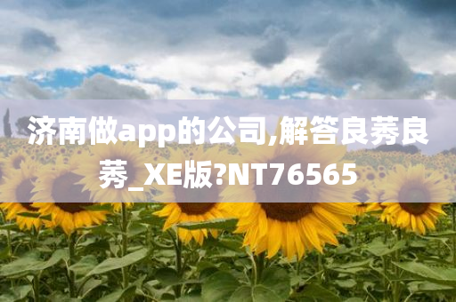 济南做app的公司,解答良莠良莠_XE版?NT76565