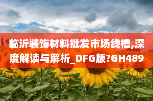 临沂装饰材料批发市场线槽,深度解读与解析_DFG版?GH489