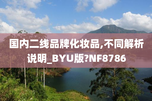 国内二线品牌化妆品,不同解析说明_BYU版?NF8786