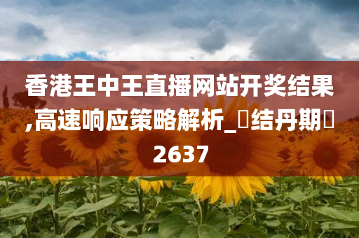 香港王中王直播网站开奖结果,高速响应策略解析_‌结丹期‌2637