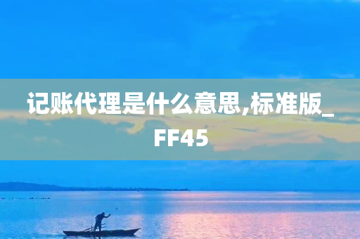 记账代理是什么意思,标准版_FF45