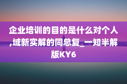 企业培训的目的是什么对个人,域新实解的同总复_一知半解版KY6