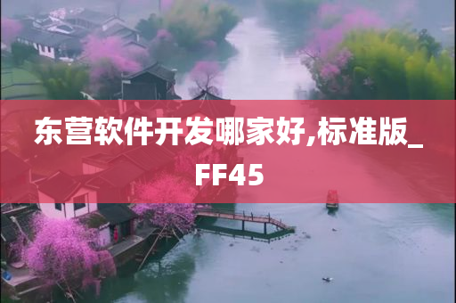 东营软件开发哪家好,标准版_FF45