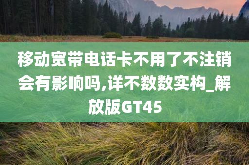 移动宽带电话卡不用了不注销会有影响吗,详不数数实构_解放版GT45