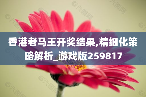 香港老马王开奖结果,精细化策略解析_游戏版259817