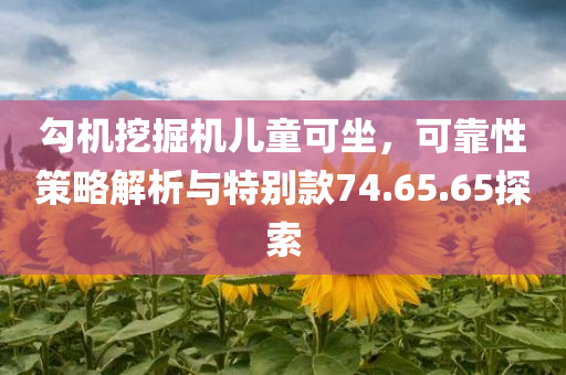 勾机挖掘机儿童可坐，可靠性策略解析与特别款74.65.65探索