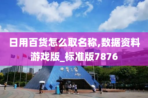 日用百货怎么取名称,数据资料游戏版_标准版7876