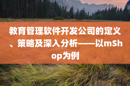 教育管理软件开发公司的定义、策略及深入分析——以mShop为例